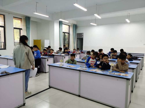 推进课后服务 彰显教育温度 专业教育咨询服务的价值与实践路径